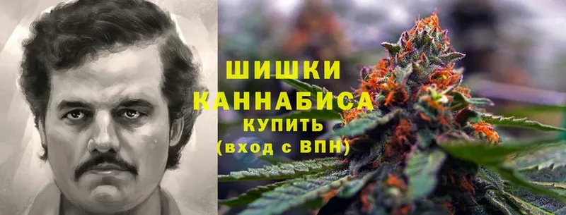 как найти закладки  shop какой сайт  Канабис Bruce Banner  Александров  ссылка на мегу рабочий сайт 